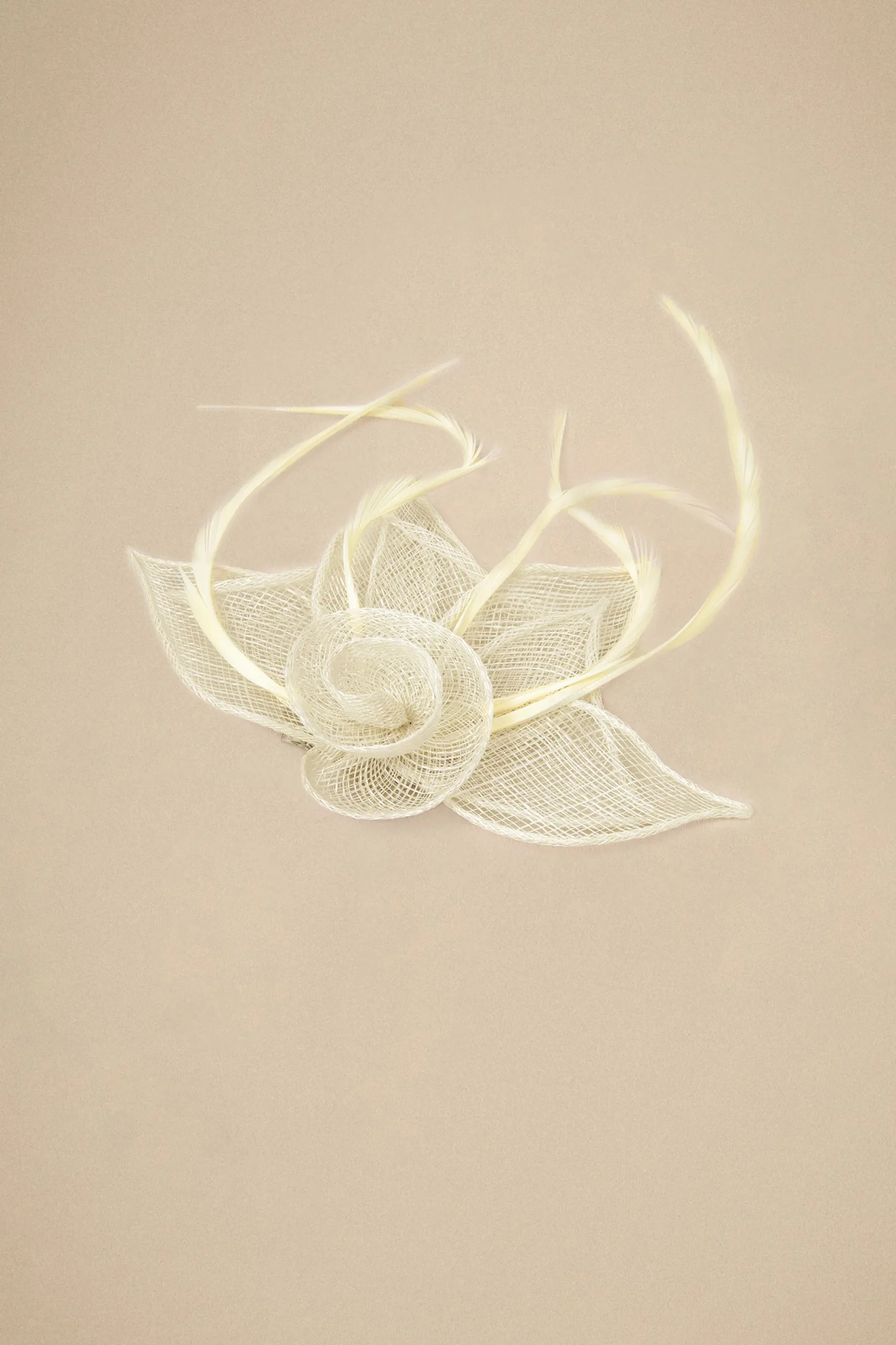BABEYOND Fascinators<Delicate Kentucky Feather Floral Fascinator
