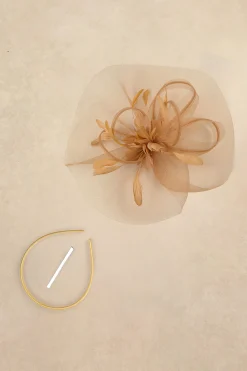 BABEYOND Fascinators<Dreamy Wavy Brim Mesh Fascinator