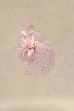 BABEYOND Fascinators<Elegant Kentucky Veil Floral Fascinator
