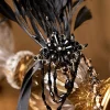 BABEYOND Feather | Chain<Gorgeous Beaded Feather Headband