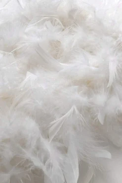 BABEYOND Shawls & Scarves | Vintage<Retro Chandelle Fluffy Feather Boa