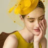 BABEYOND Fascinators<Vintage Feather Veil Pillbox Fascinator