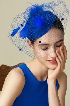 BABEYOND Fascinators<Vintage Feather Veil Pillbox Fascinator